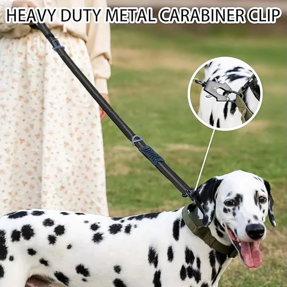 HarnessGuard™ Safety Belt